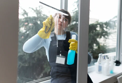 Nettoyage de vitres intérieures et extérieures à Laignes